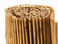 Bambus-Leipzig: Bambusmatte Bangkok - Ort: Leipzig