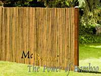 Bambus-Leipzig: Anwendungsbeispiel f�r den Bambusrollzaun Natur - Ort: Leipzig