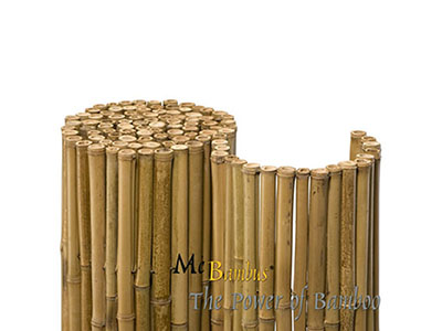 Bambus-Leipzig Bambuszune