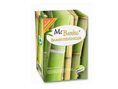 Bambus-Leipzig Bambuspflege